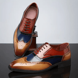 Haris | Klasične Brogue Cipele