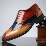 Haris | Klasične Brogue Cipele